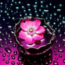 5D Diamond Painting voor Kinderen en Volwassenen -  Doe-het-zelf Mozaïek Borduurwerk Deel 4 10 / 30x30cm Korting