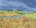Vincent van Gogh's beroemde werken - 25 verschillende