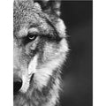 wilde wolf canvasdoek schilderij poster