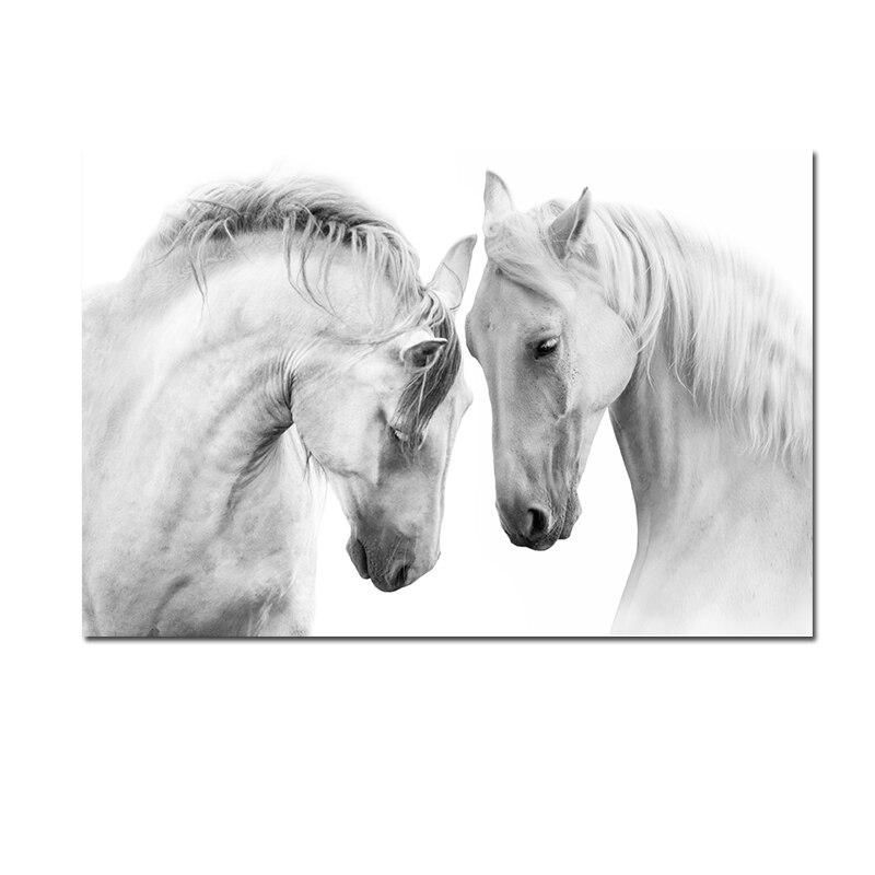 Witte Paarden in Canvasdoek 20x30cm Korting